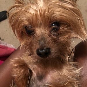 Meet your Posher, Ahjahleik